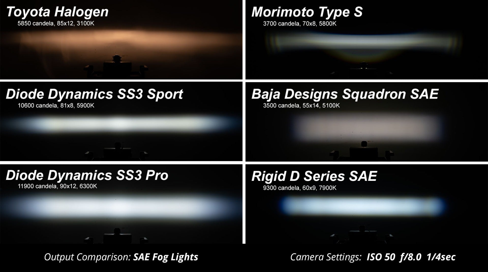 SS3 Pro RBL White Flood Standard Single Diode Dynamics