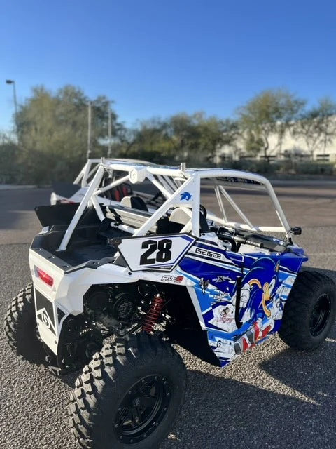 POLARIS RZR 200 CAGE